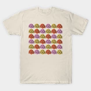 Colourful Cockapoos Rule! T-Shirt